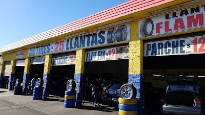 Llantera Flamingo Tire Shop